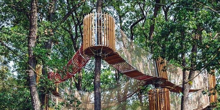 Užijte si adrenalinovou zábavu: třípatrové bludiště v korunách stromů