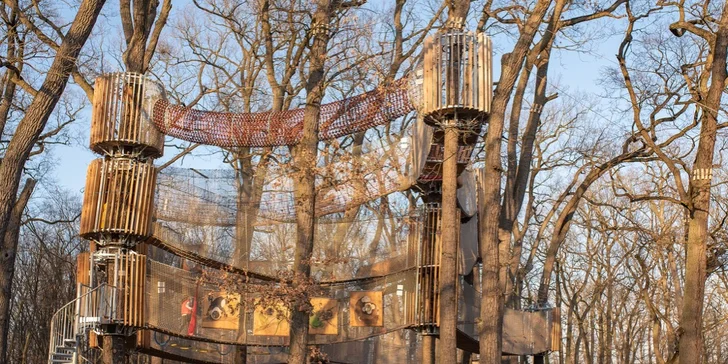 Užijte si adrenalinovou zábavu: třípatrové bludiště v korunách stromů