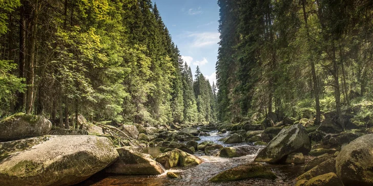 Zimní nebo jarní dovolená v srdci Šumavy pro pár nebo rodinu