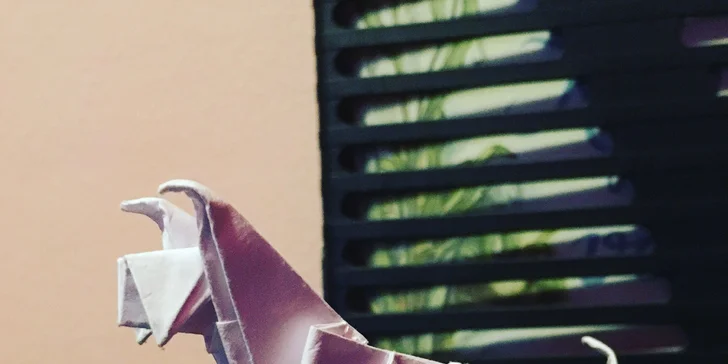 Kurz origami: základní sklady a přehyby a tradiční i moderní figury