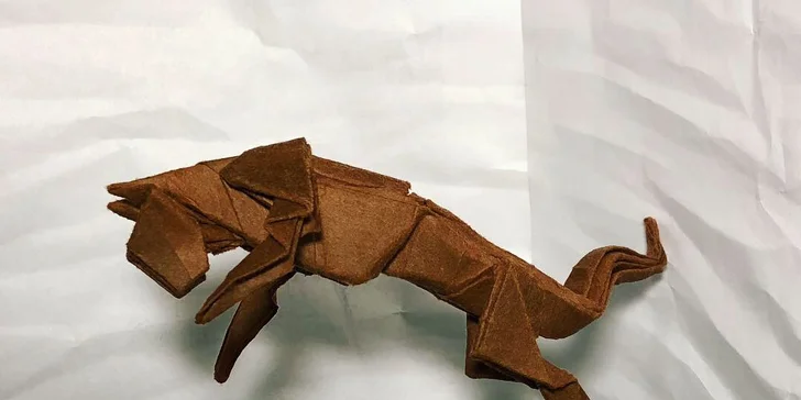 Kurz origami: základní sklady a přehyby a tradiční i moderní figury
