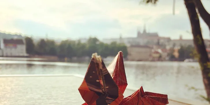 Kurz origami: základní sklady a přehyby a tradiční i moderní figury