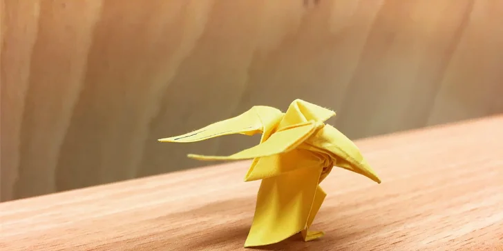 Kurz origami: základní sklady a přehyby a tradiční i moderní figury