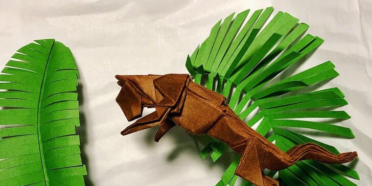 Kurz origami: základní sklady a přehyby a tradiční i moderní figury