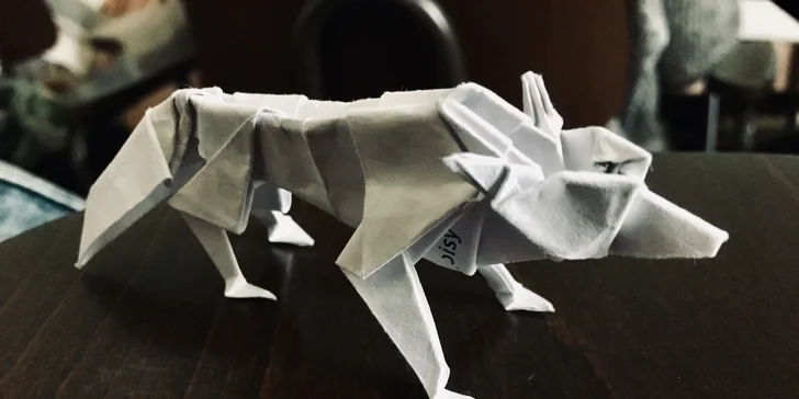 Kurz origami: základní sklady a přehyby a tradiční i moderní figury