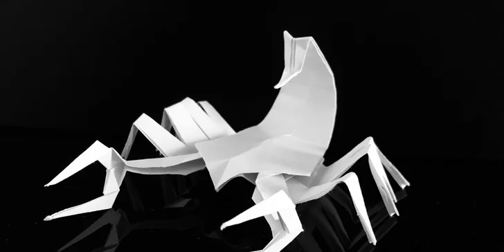 Kurz origami: základní sklady a přehyby a tradiční i moderní figury