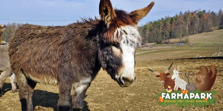 Celodenní zábava: rodinné vstupenky do Farmaparku až pro 5 osob