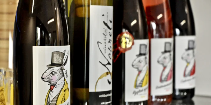Posezení v kavárně: káva podle výběru, horká čokoláda i zákusek