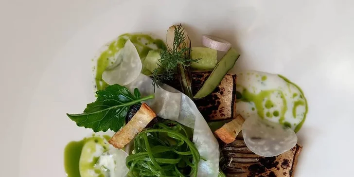 Menu od kuchaře s praxí z michelinských restaurací: 6 degustačních chodů a lahev vína