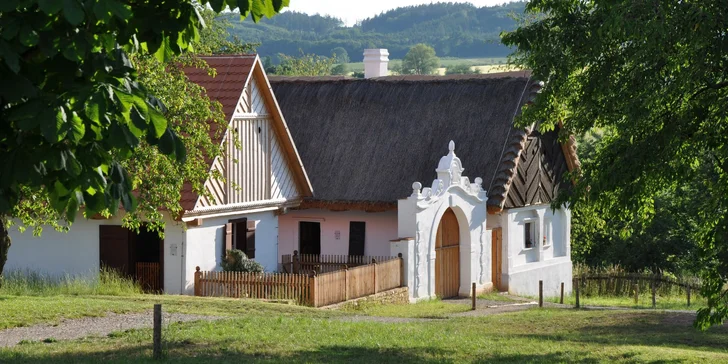 Rodinný výlet: vstupenka do skanzenu a muzea v Kouřimi