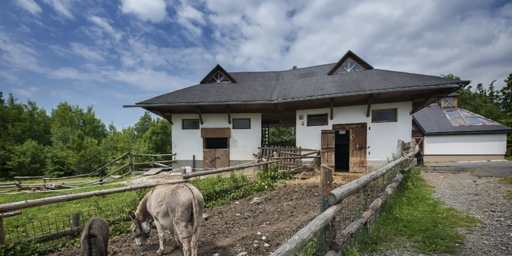 Pobyt pro dva nebo rodinu: polopenze, wellness, velké hřiště i minizoo