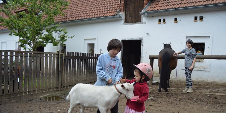 Hrátky se zvířátky na farmě a jízda na koni pro celou rodinu