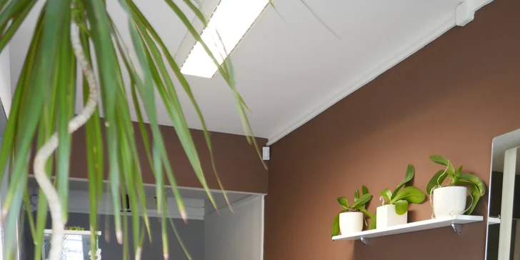Depilace cukrovou pastou vybraných partií pro dámy