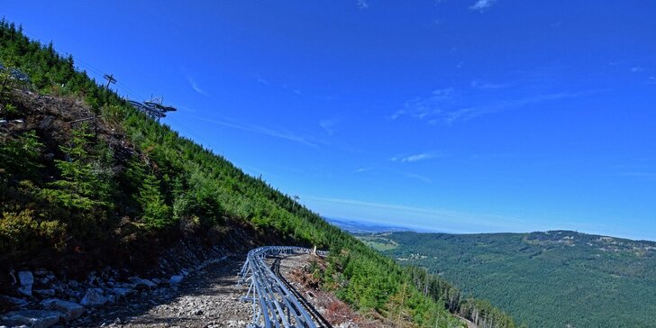 Adrenalinová jízda na Mamutí horské dráze: 3 km lesním terénem i na otevřených pláních