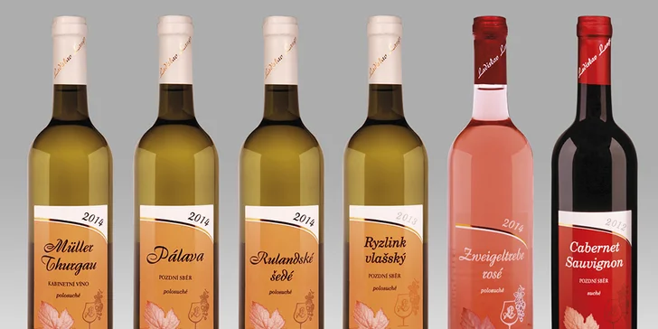 Relax u Pálavy: pobyt na jižní Moravě se snídaní nebo polopenzí a s wellness i masáží