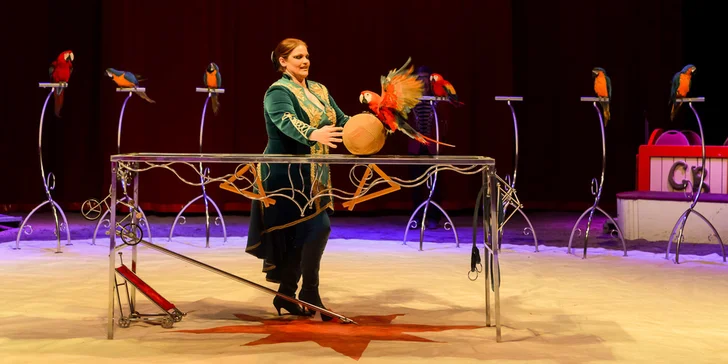 Vstupenky do Národního Cirkusu Originál Berousek