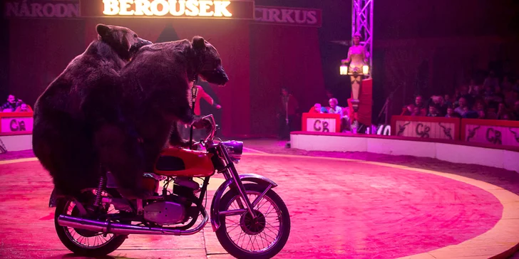 Vstupenky do Národního Cirkusu Originál Berousek