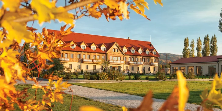 4* relaxační pobyt: polopenze, sauny, bazén, vířivka i zážitkový park