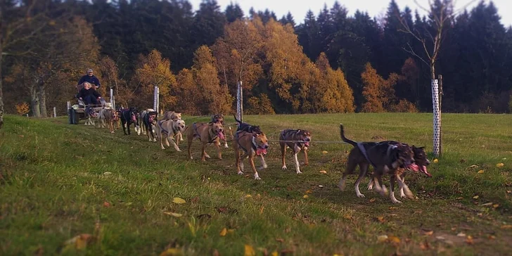 Nezapomenutelná jízda se psím spřežením na čtyřkolce