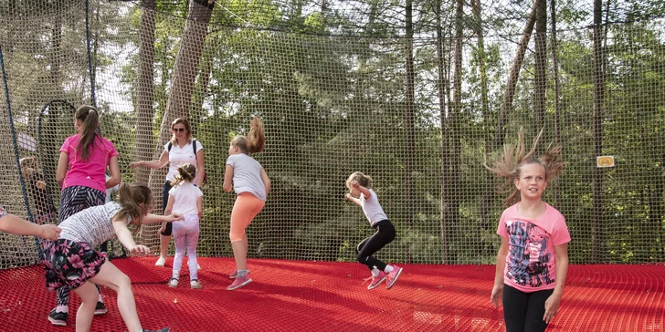 Skotačení ve větvích: 1 až 10 vstupů na hřiště zavěšená v korunách stromů