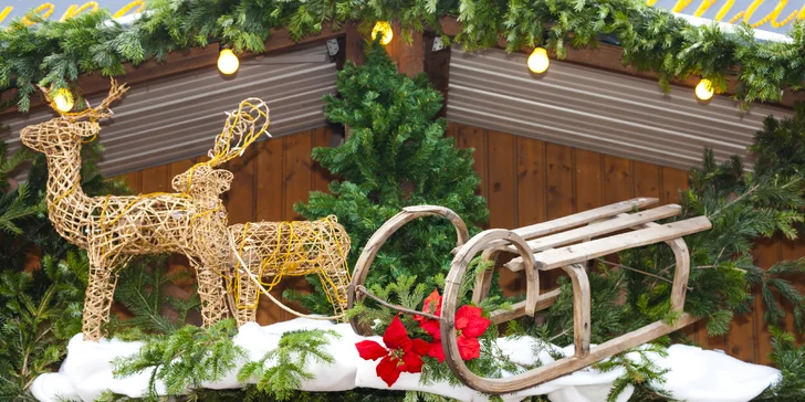 Dvoudenní adventní zájezd do Vídně, Györu a Budapešti: bus, průvodce a přespání v hotelu se snídaní