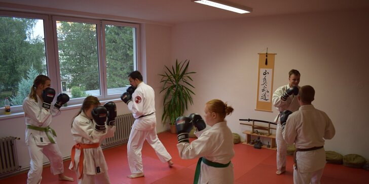 Měsíční permanentka na lekce bojového umění ve Sport Centru Budokan