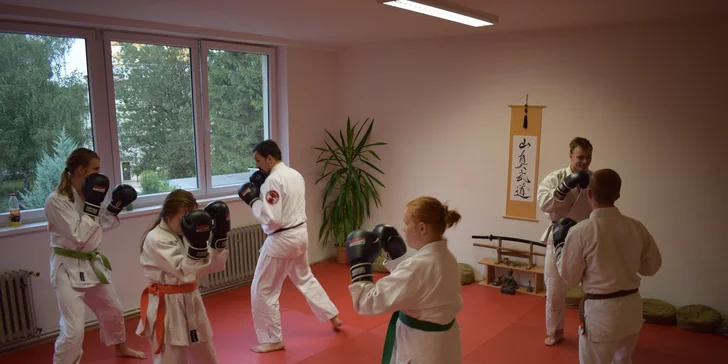 Měsíční permanentka na lekce dle výběru ve Sport Centru Budokan
