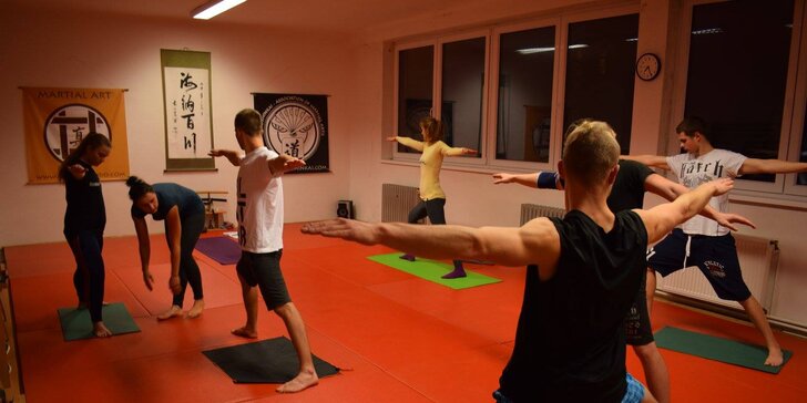 Měsíční permanentka na sport a 150 minut ve wellness: bojové umění i kondiční cvičení