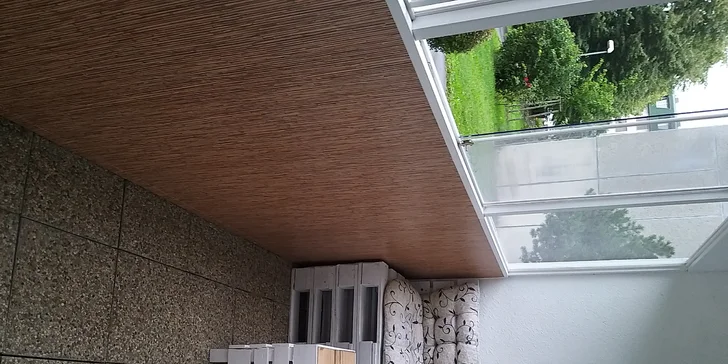 Zhubněte bříško s pásem Better Belly a zbavte se celulitidy ve Vacu Activ
