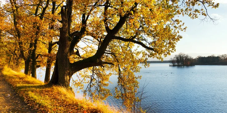 Pohoda u Jindřichova Hradce: penzion s polopenzí, saunou a vířivkou