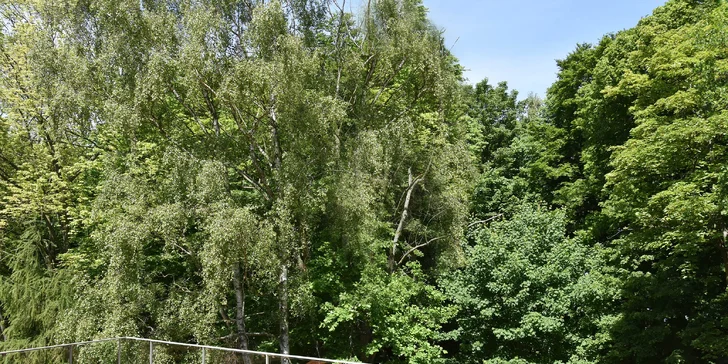 K wellness patří venkovní terasa s výhledem do parku. 