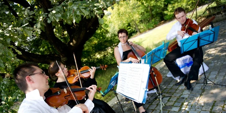 Koncert slavných filmových a populárních melodií