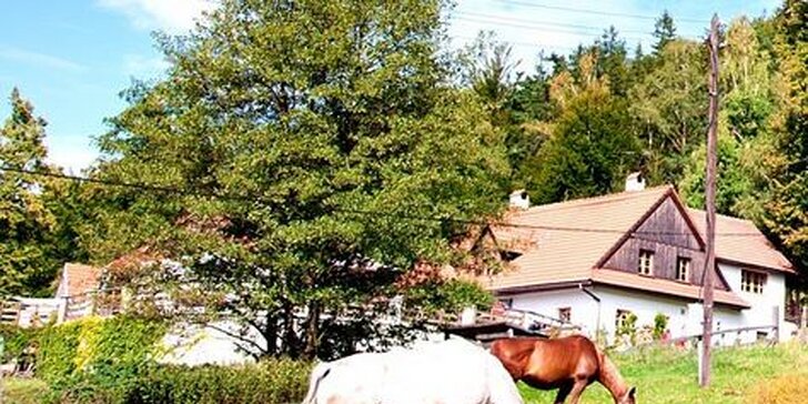 Odpočinkový pobyt v Beskydech: Snídaně, relax ve vířivce i jízda na koni