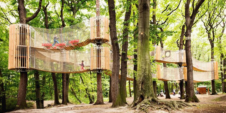 Užijte si adrenalinovou zábavu: třípatrové bludiště v korunách stromů