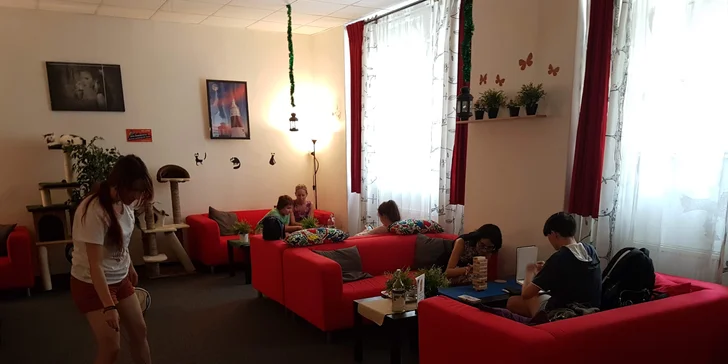 Vstup do Cat Café na 60 minut: neomezená káva, čaj a drobné občerstvení