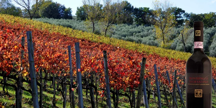 Na italských vinicích pro vás dozrálo výtečné víno.