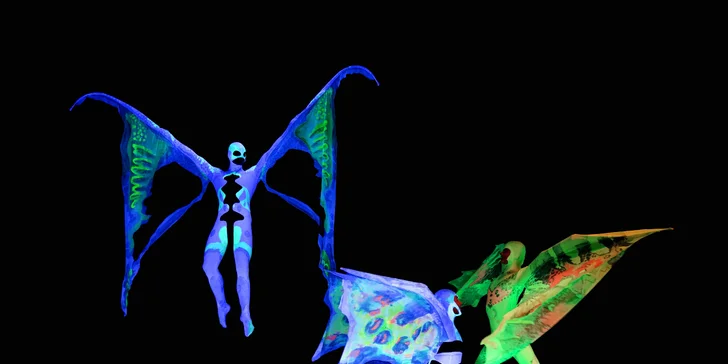 Vstupenka na jakékoli večerní představení magického černého Divadla Image