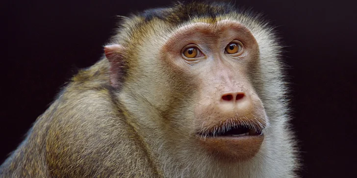 Za den fotografem: fotografické kurzy v pražské zoo nebo centru Prahy