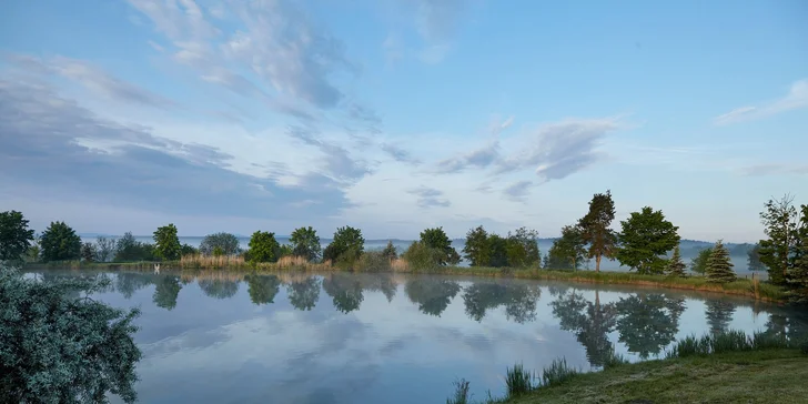 Zažijte život zvířat: pobyt v Safari Resortu se snídaní a Offroad Safari jízdou