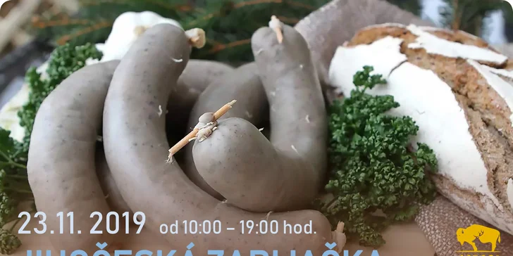 Hurá za zvířátky: pobyt v Safari resortu až pro 4 os., snídaně, projížďka i muzeum