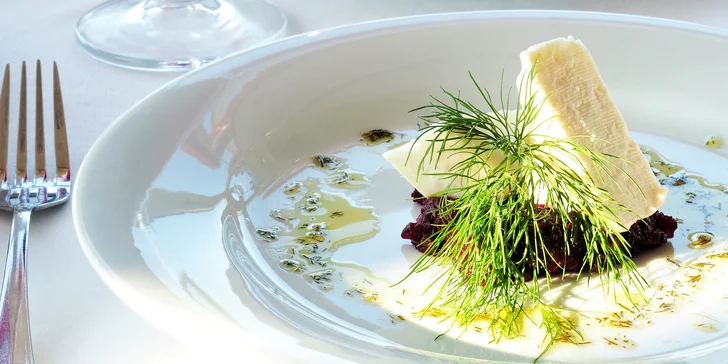 Degustační menu s výhledem na Brno: tartar z řepy, pstruh, kachní prsíčko i dezert