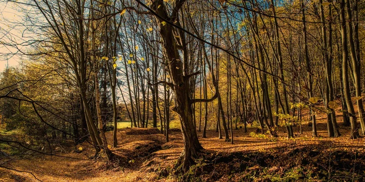 Za den fotografem: fotografické kurzy v pražské zoo nebo centru Prahy