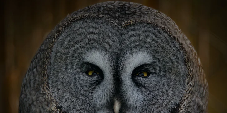 Za den fotografem: fotografické kurzy v pražské zoo nebo centru Prahy