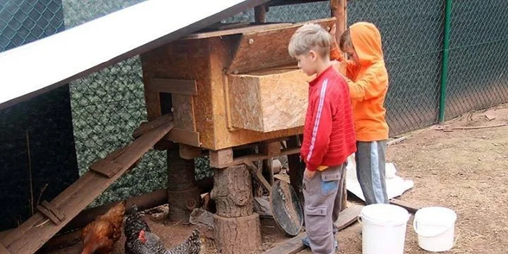 Den plný zážitků s koňmi: péče o ně, výcvik i projížďka krajinou