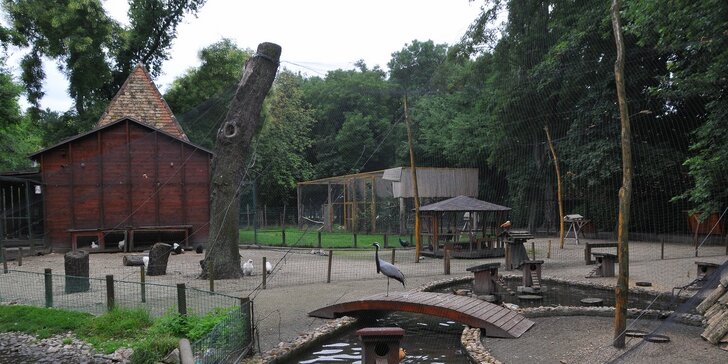 Výlet za zvířátky: Tropicarium a zoologická zahrada v Budapešti
