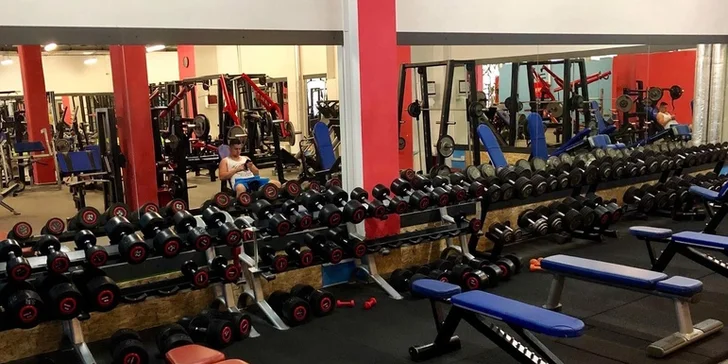 Měsíční základní nebo gold permanentka do fitka včetně kruhových tréninků zdarma