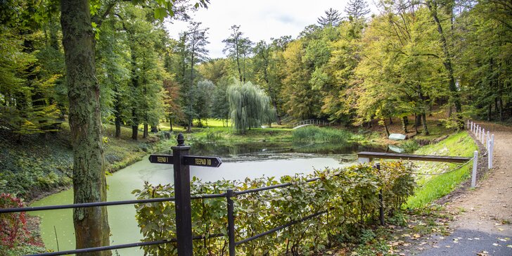 Zámecký pobyt v Chateau Hostačov: romantická večeře i bylinná koupel