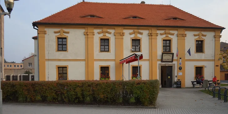 Předkrm a medailonky z vepřové panenky nebo pštrosí steak s hříbkovou omáčkou pro dva