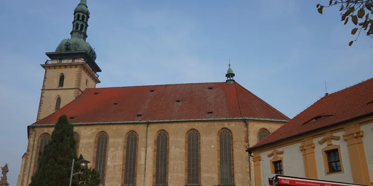 Předkrm a medailonky z vepřové panenky nebo pštrosí steak s hříbkovou omáčkou pro dva