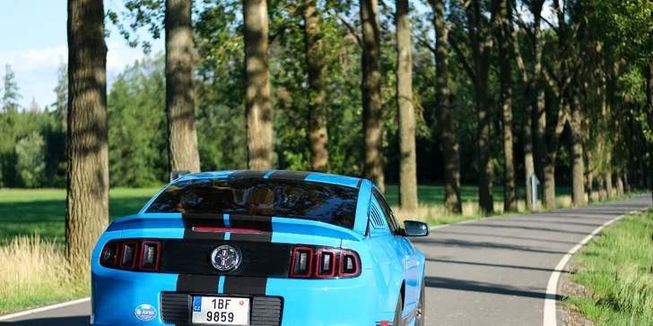 Mustang podle výběru na 1 až 12 hod.: 3.7 Shelby nebo 3.7 Cabrio